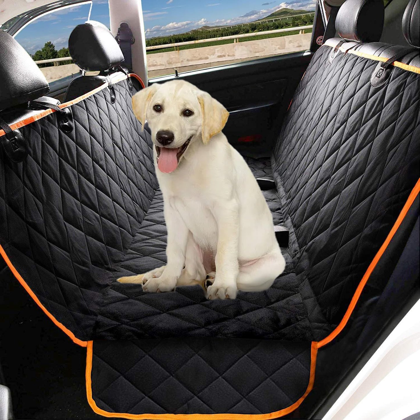 AutoPet Protector