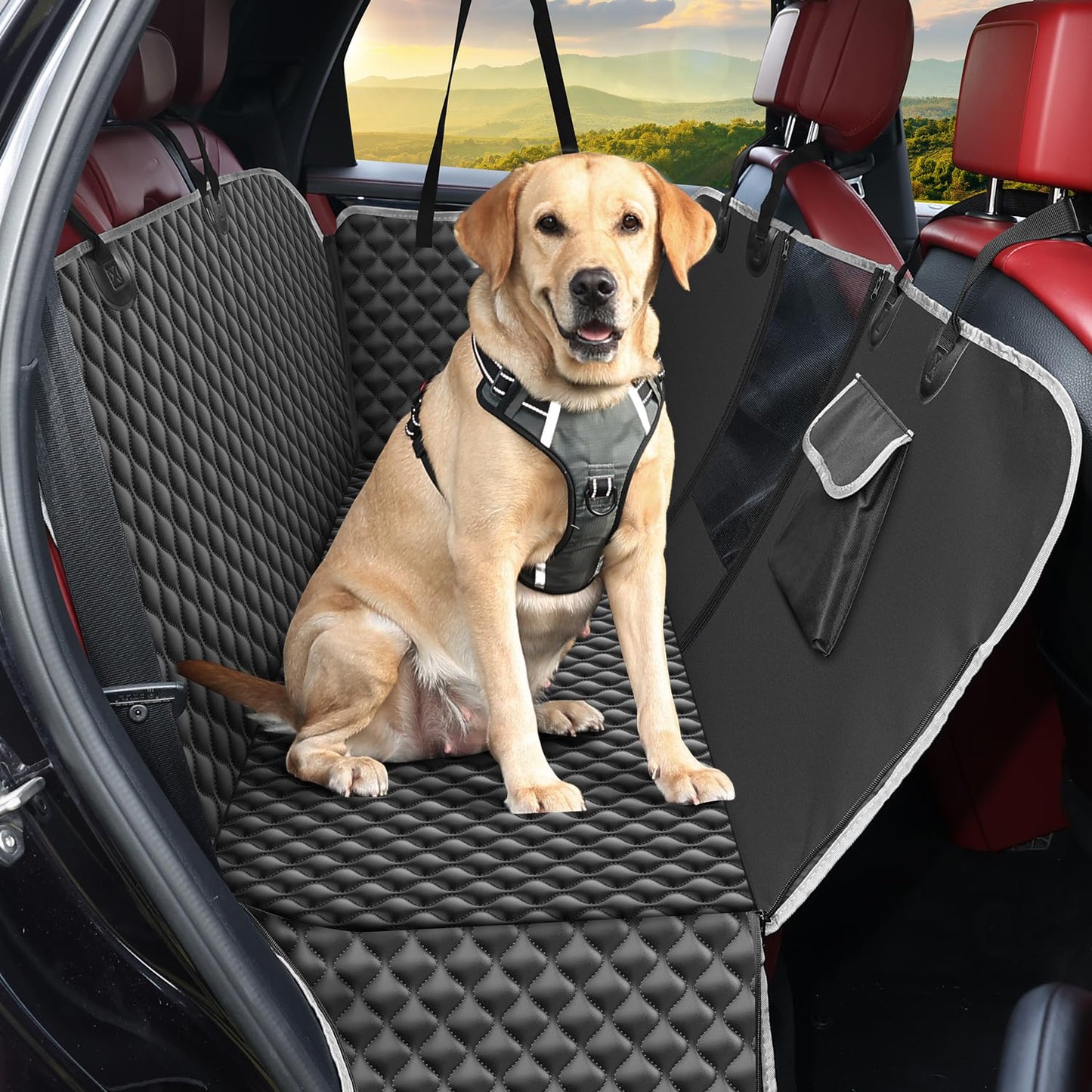 AutoPet Protector