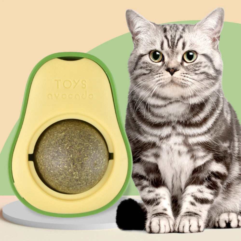 CatBall+