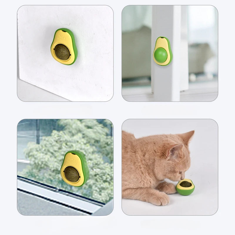 CatBall+