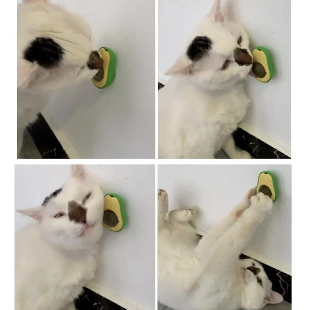 CatBall+