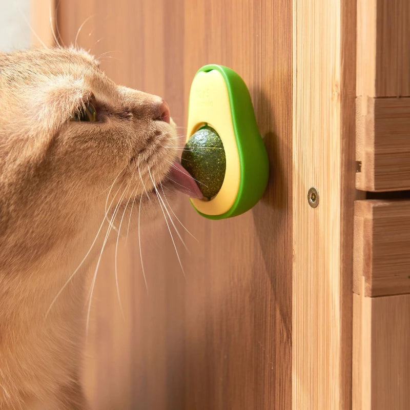 CatBall+