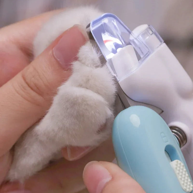 LumiPaws LED