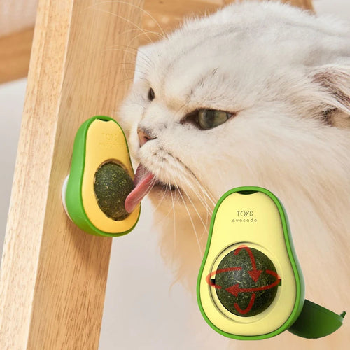 CatBall+